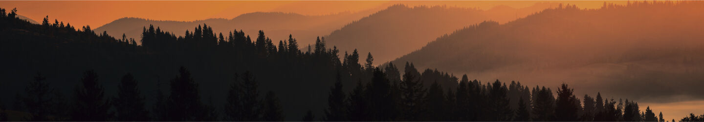 Image without a name
