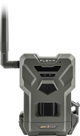 Image without a name