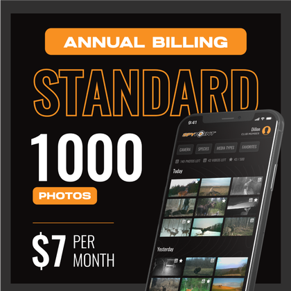 Standard Plan - Annual