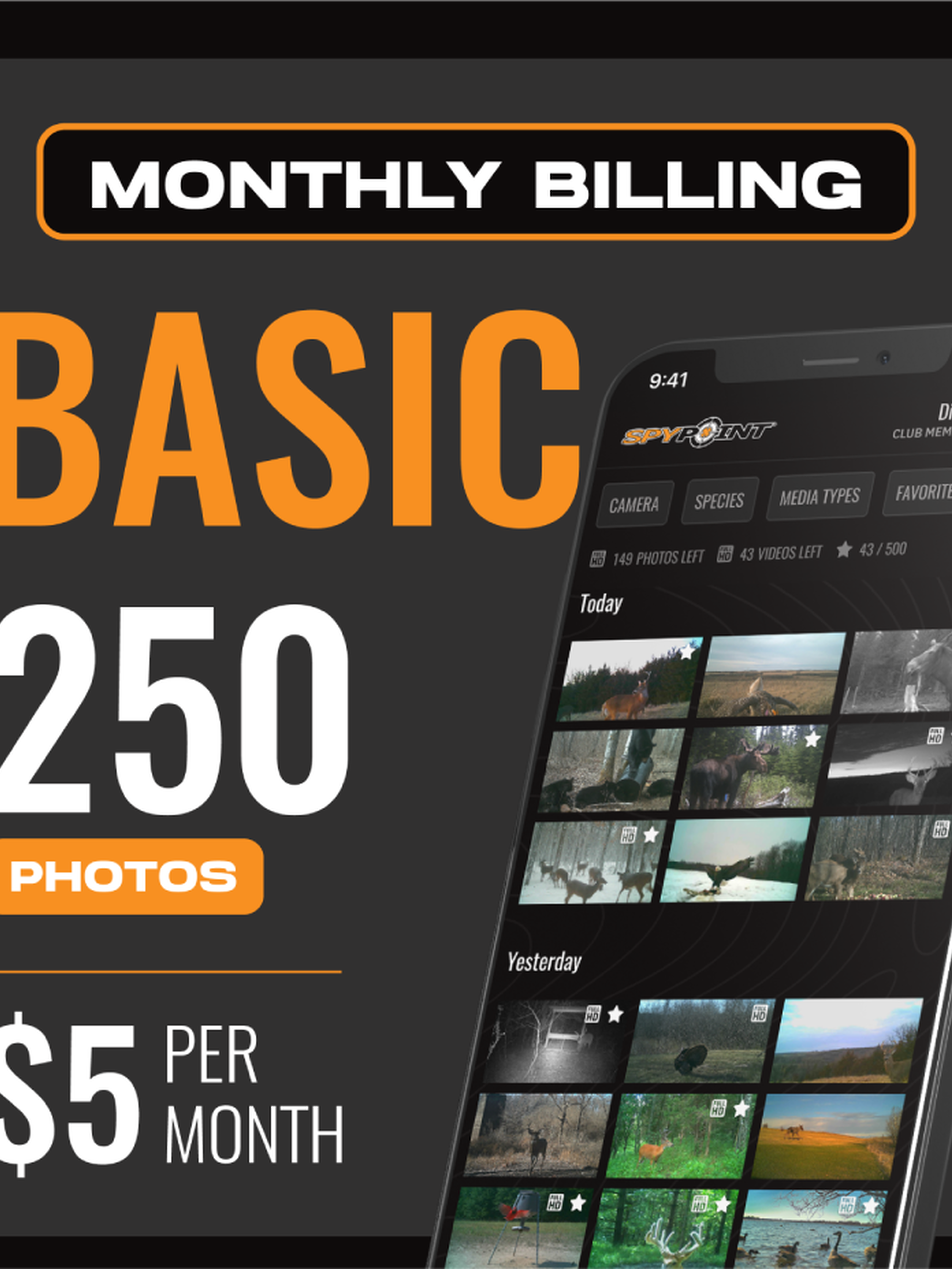 Basic Plan - Monthly