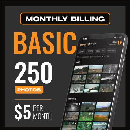 Basic Plan - Monthly