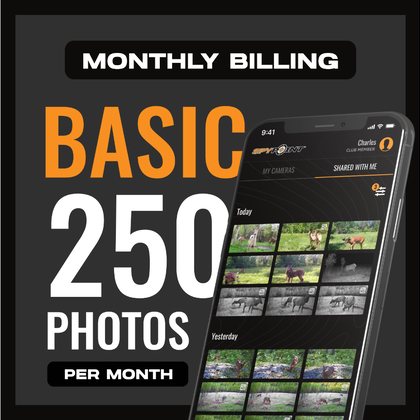 Basic Plan - Monthly