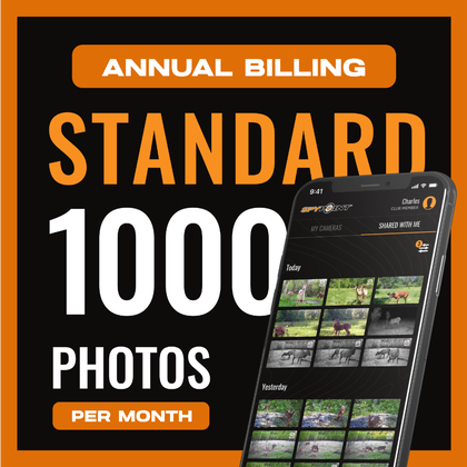 Standard Plan - Annual