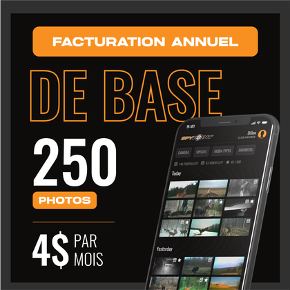 Forfait Base - Annuel
