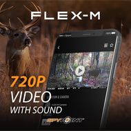 FLEX-M 4 PACK