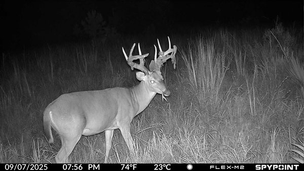 imagen tomada por la cámara FLEX-M2