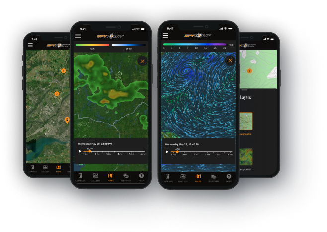 Vista Previa de la Aplicación