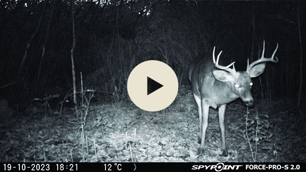 Vídeo grabado con la cámara FORCE-PRO 2.0