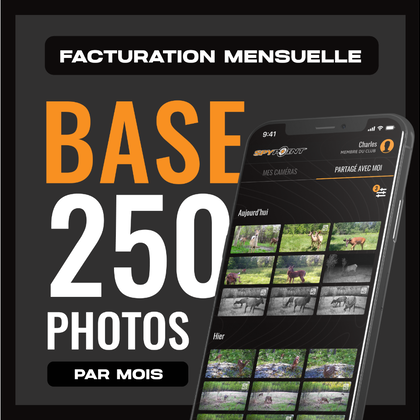 Forfait Base - Mensuel