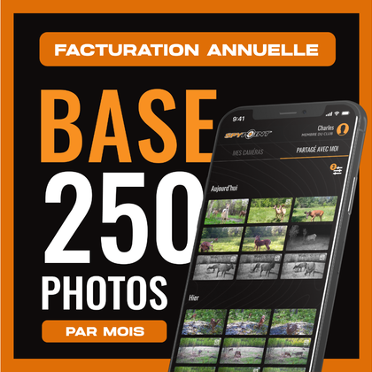 Forfait Base - Annuel