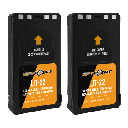 LOT DE LIT-22 DOU LIT-22