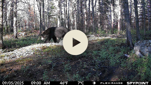 Vidéo prise par la caméra FLEX-RANGE