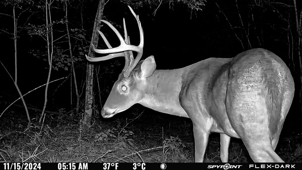 Photo prise par la caméra FLEX-DARK