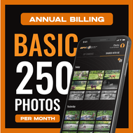 Basic Plan - Annual