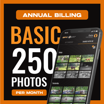 Basic Plan - Annual