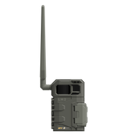 LM2