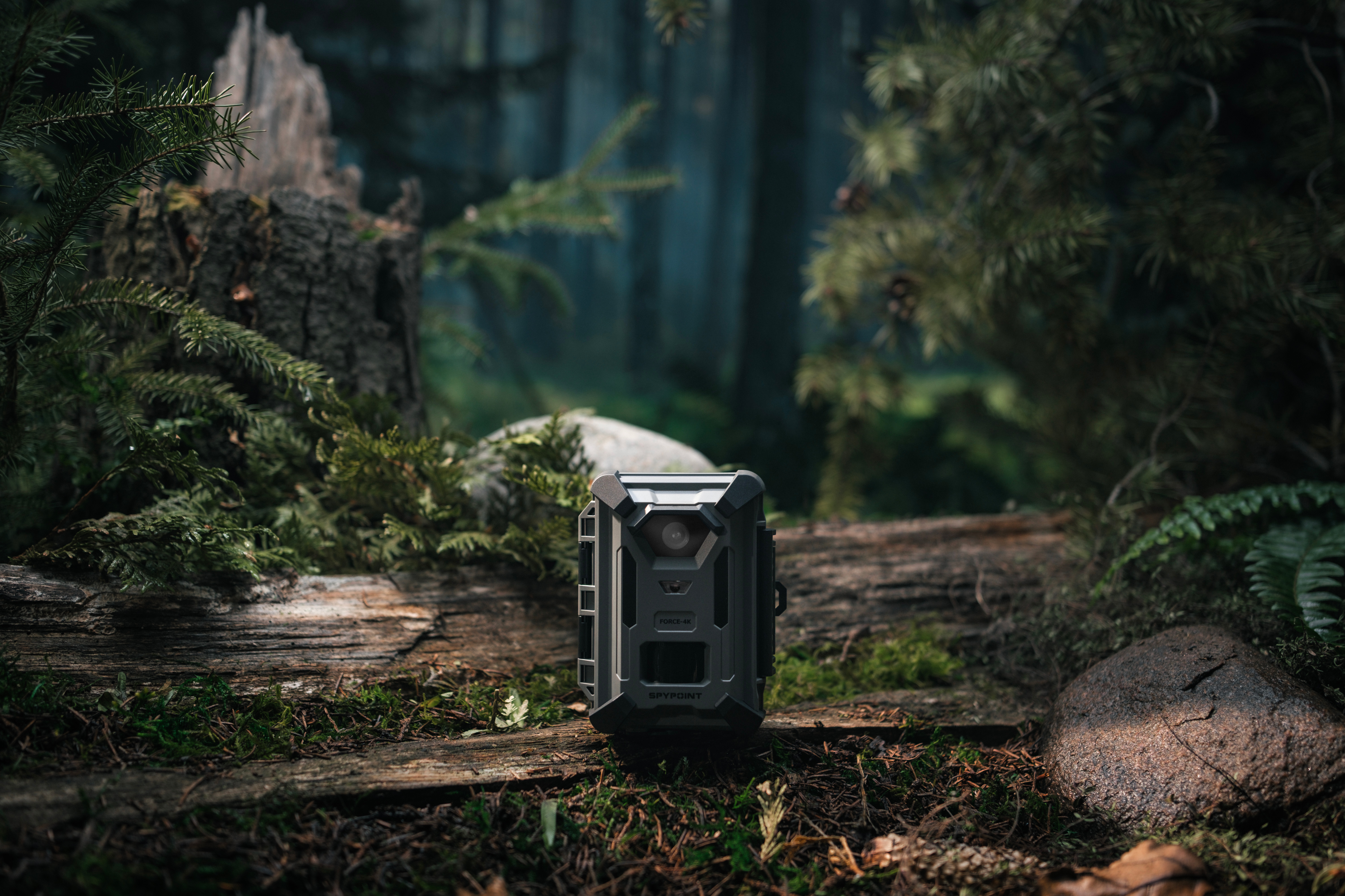 5 Places You Need a Wider Field of View Trail Camera