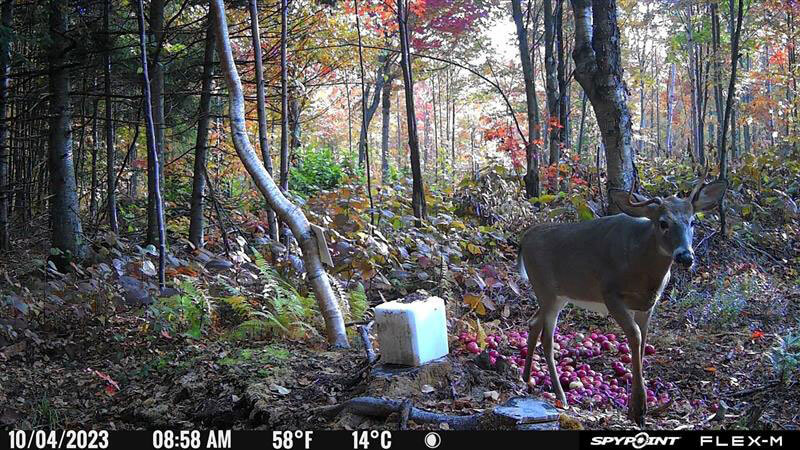 picture take by the FLEX-M camera