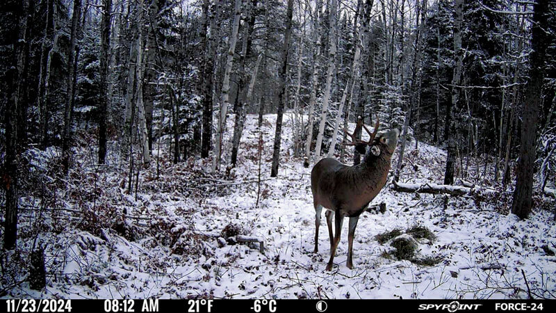 picture take by the FORCE-24 camera