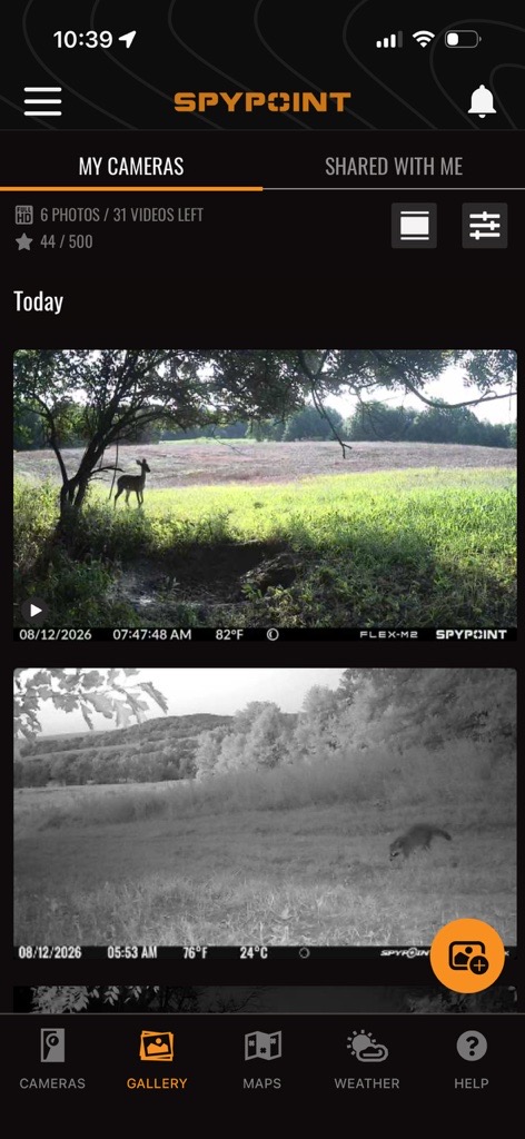 SPYPOINT app gallery showing daytime and nighttime wildlife photos captured by cellular trail cameras.
