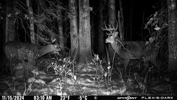 Photo take by the FLEX-S-DARK camera