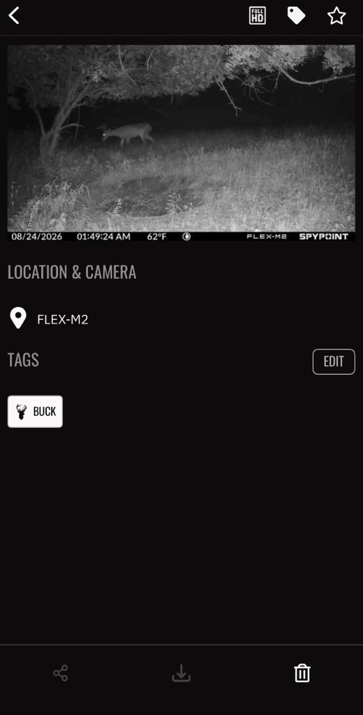 SPYPOINT app showing a nighttime trail camera photo of a whitetail buck identified with a buck tag.