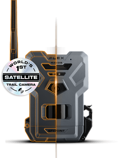 FLEX-RANGE camera