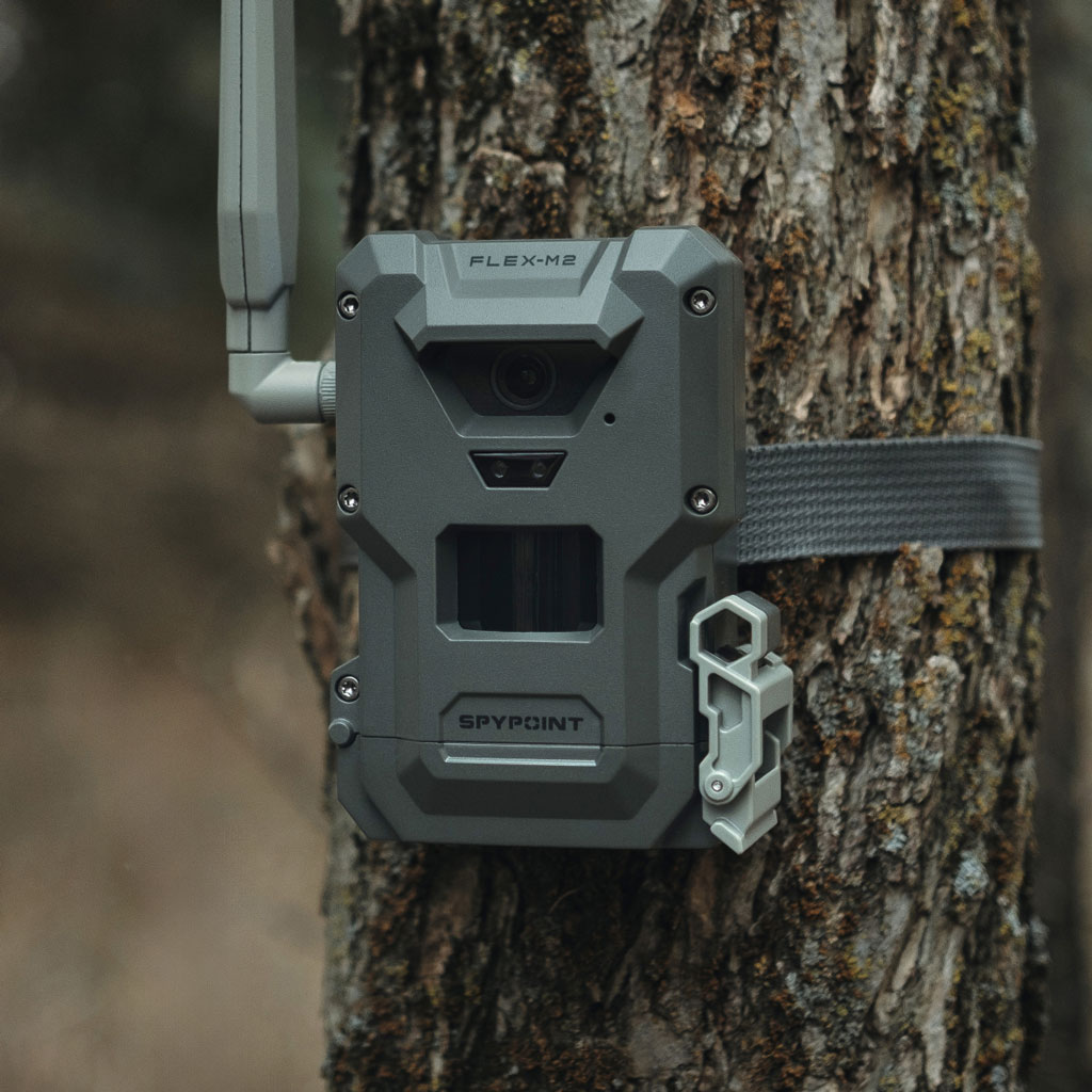 FLEX-M2 Trail Camera installed on a tree