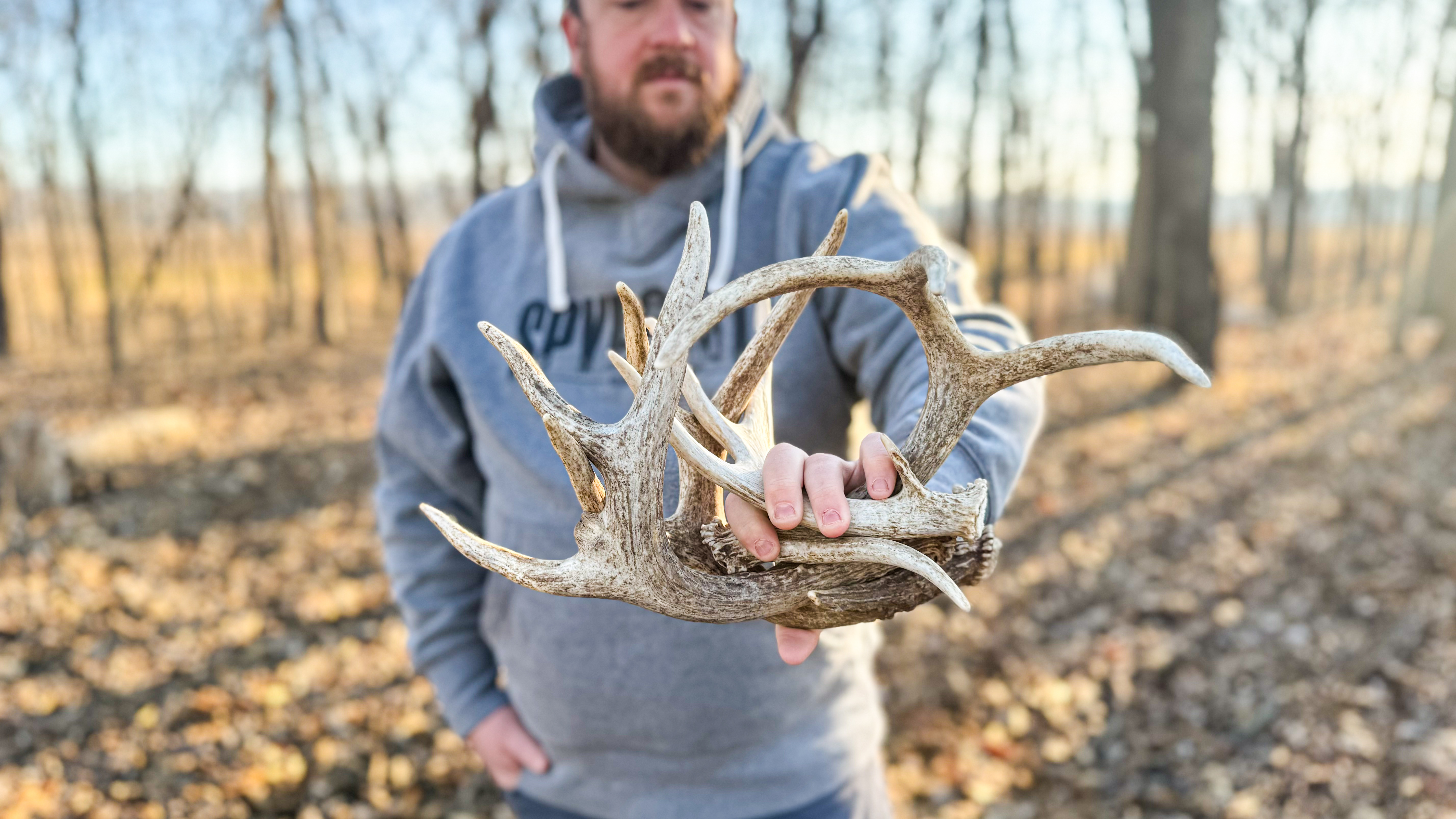 The 3 Most Overlooked Places to Find Shed Antlers