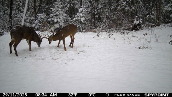 Photo prise par une caméra FLEX-RANGE