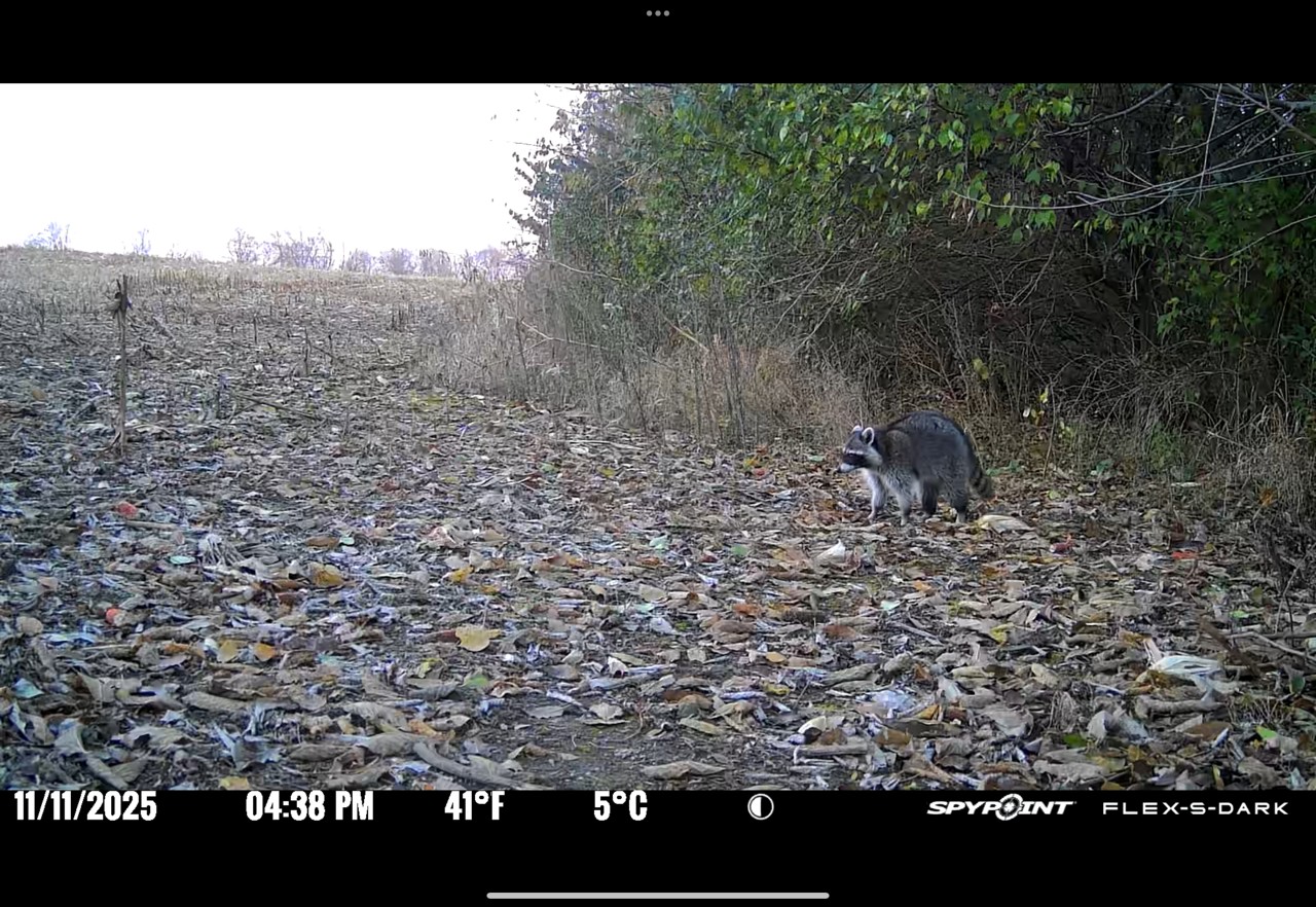 How to Use SPYPOINT Cell Cameras to Monitor Your Traps