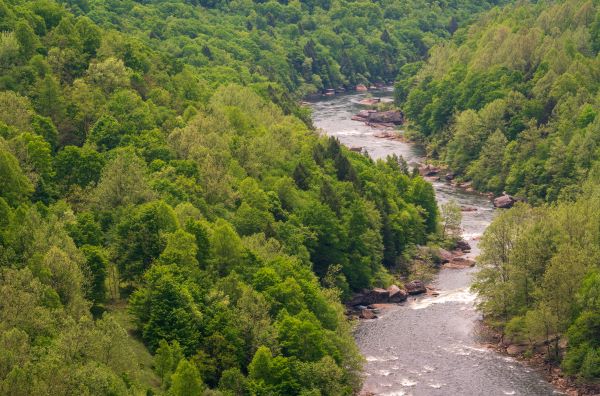 Gauley River