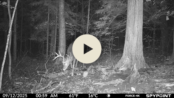 Video take by the FROCE-4k camera