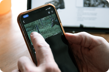 Cellular trail camera preview on phone