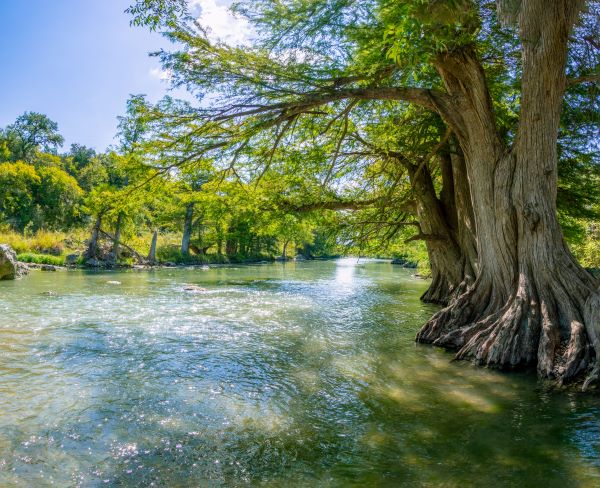Guadalupe River
