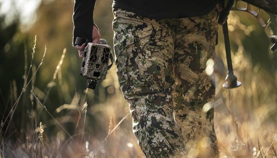 16 Cellular Trail Camera Scouting Mistakes You Keep Making