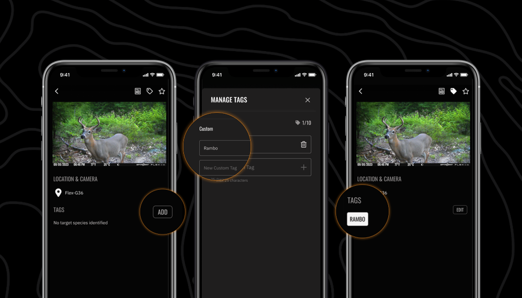 Better Scouting, Better Hunting: Pro Tips to Help You Get More from Your Insiders Club Benefits