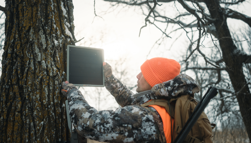 Which Solar Option is Right For You?