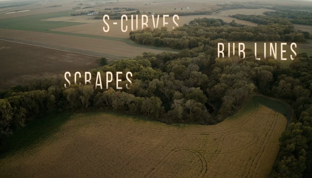 Building Whitetails - Hunting the First Phase of the Rut