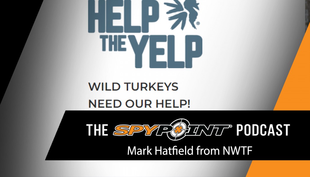 NWTF Convention Recap, Help the Yelp and more with Mark Hatfield from NWTF | The SPYPOINT Podcast