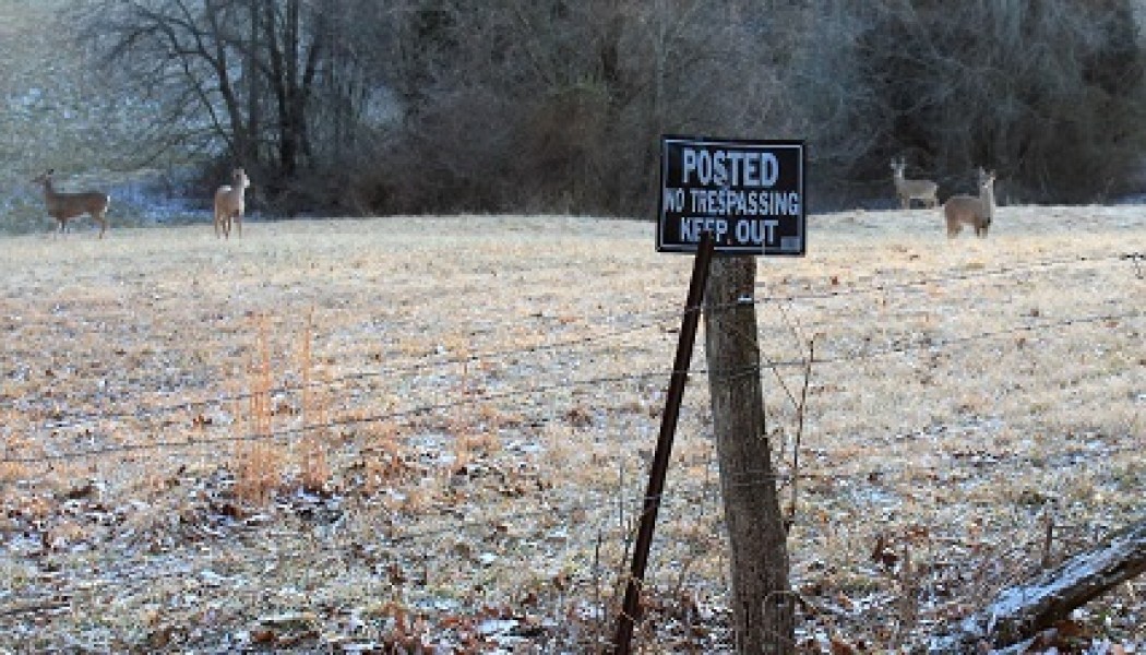 Small-Acreage Land Management - Holding Big Bucks on Small Properties