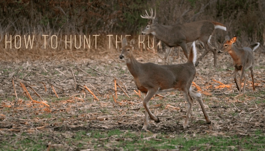 How to Hunt the Rut | Building Whitetails