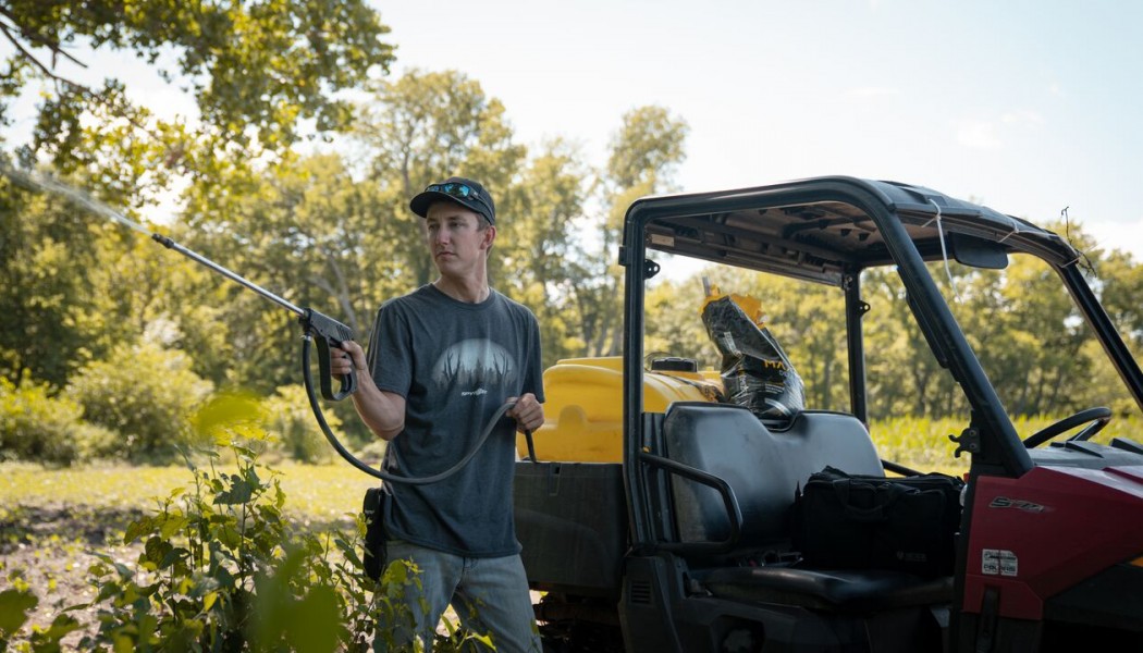 Four Non-Food Plot Ways to Improve Your Deer Habitat