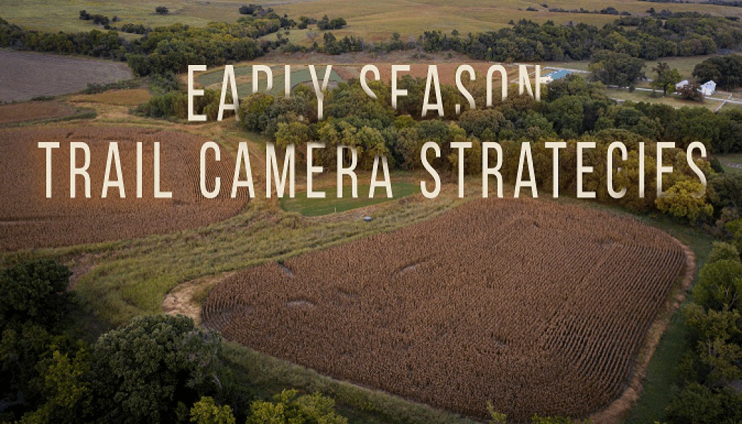 Building Whitetails - Early Season Strategies