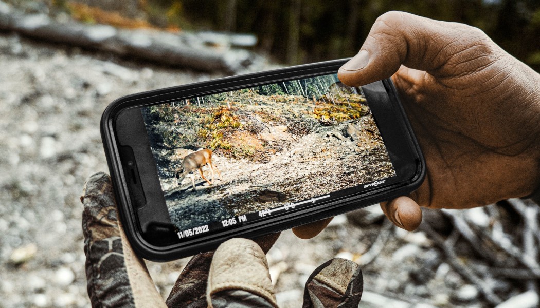 Here&rsquo;s Why 100 Photos a Month Might Not Be Enough