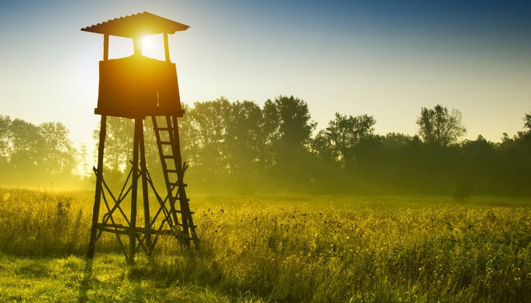 Setting Expectations for Your Hunting Season