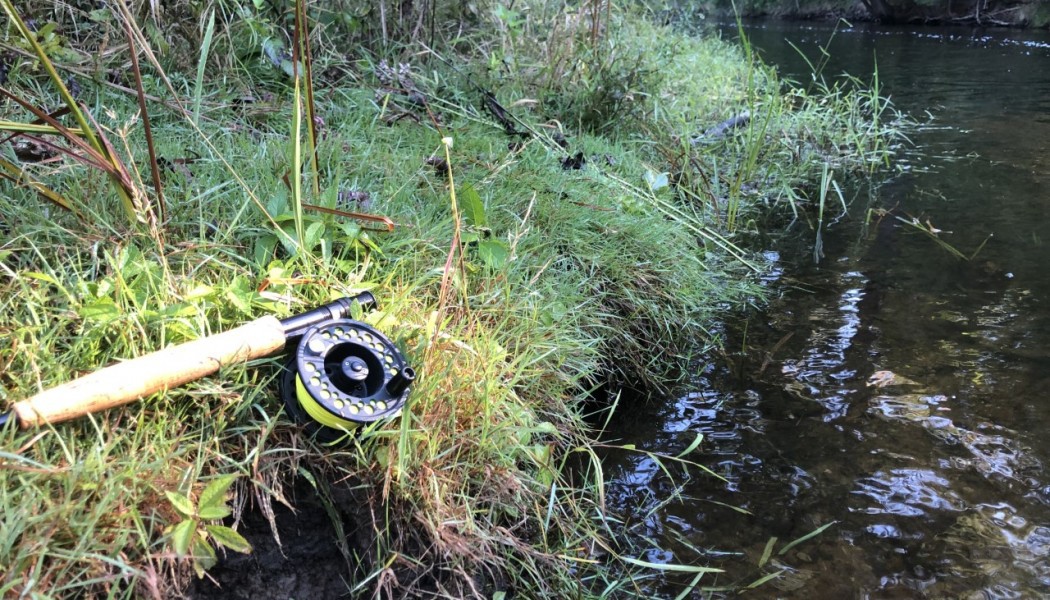 How Do I Start Fly Fishing?