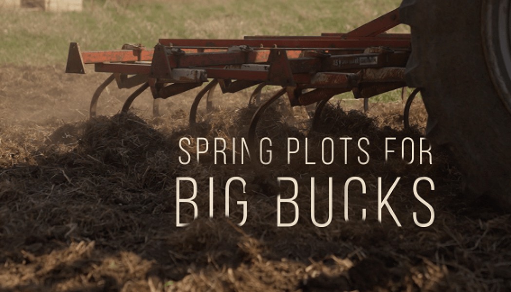 Spring Plots for Big Bucks | Building Whitetails