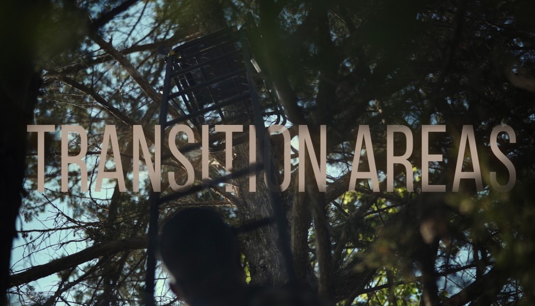 Building Whitetails - Transition Areas