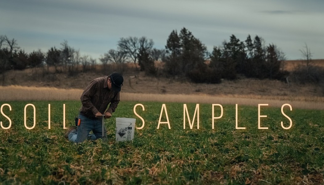 Building Whitetails - How and Why to Pull a Good Soil Sample